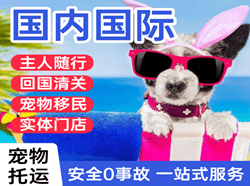 深圳机场快运国际宠物托运 【国